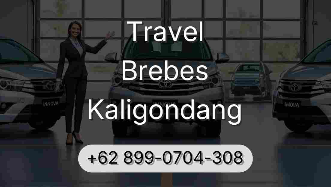 Travel Brebes Kaligondang