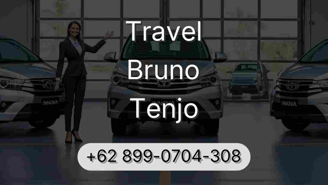 Travel Bruno Tenjo