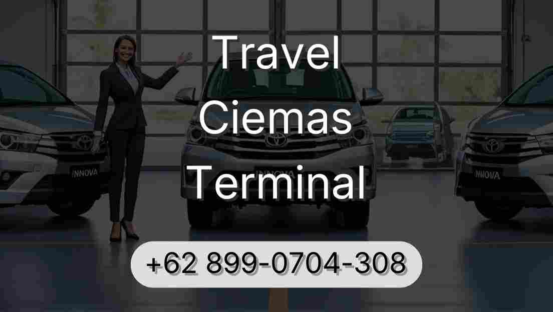 Travel Ciemas Terminal