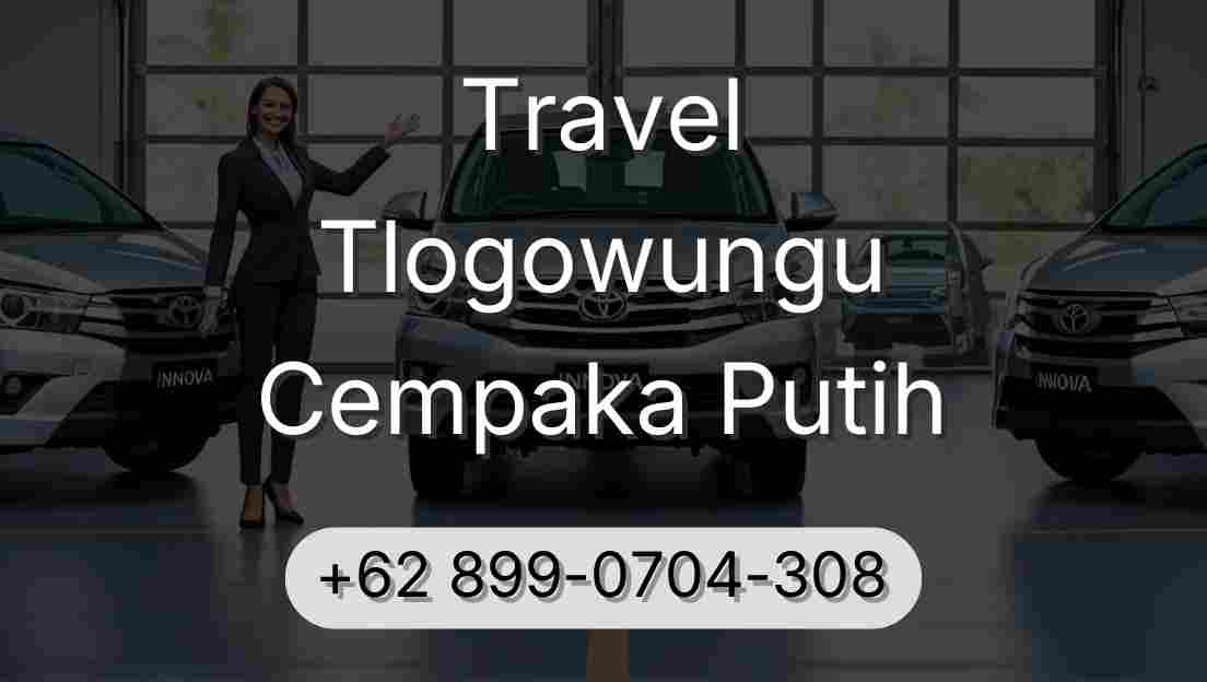 Travel Tlogowungu Cempaka Putih