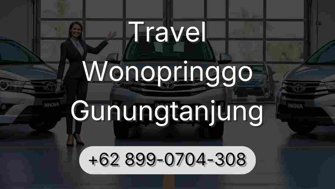 Travel Wonopringgo Gunungtanjung